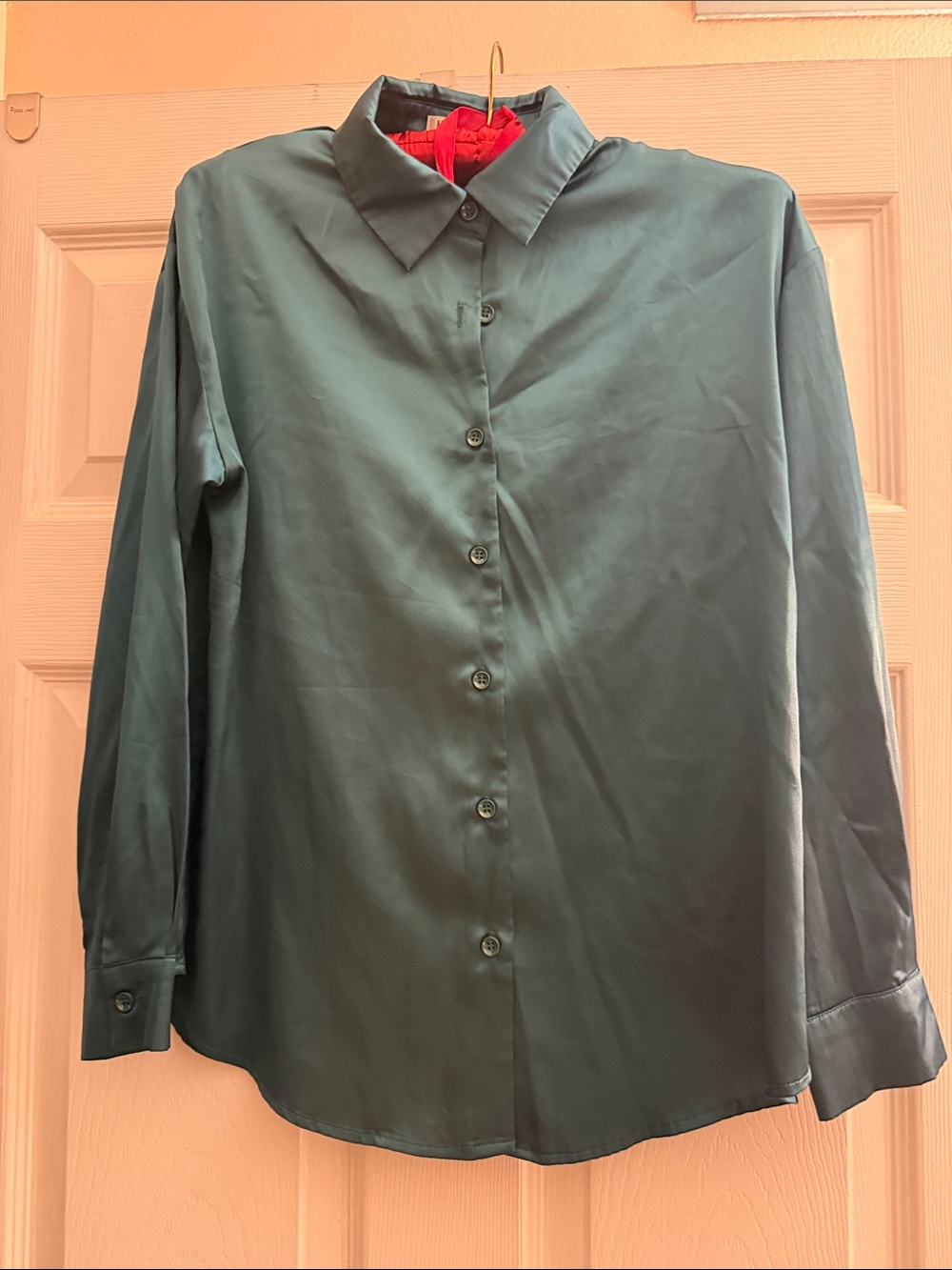 Classic Men's Button-Down Shirt in Teal